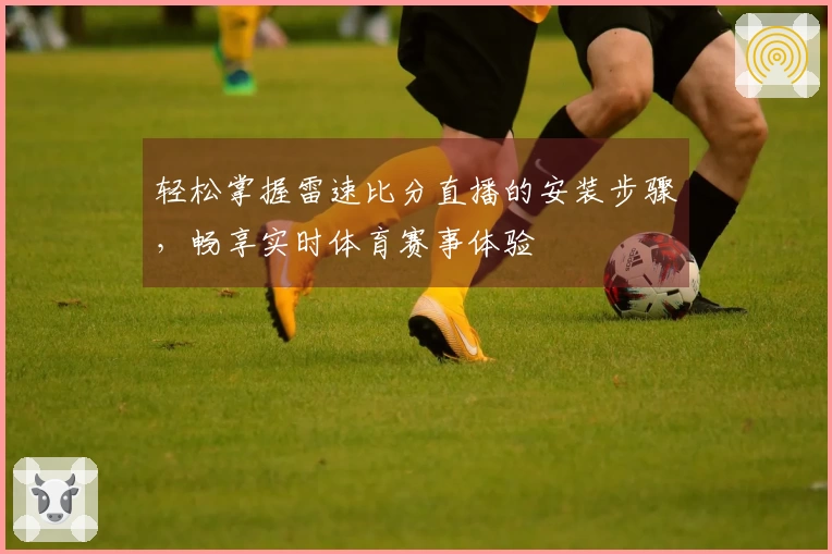 轻松掌握雷速比分直播的安装步骤，畅享实时体育赛事体验